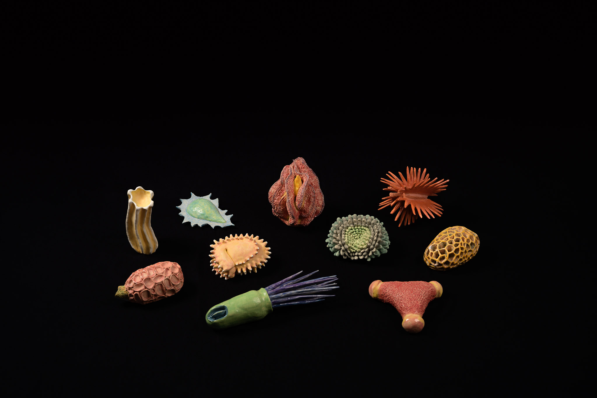 Seeds